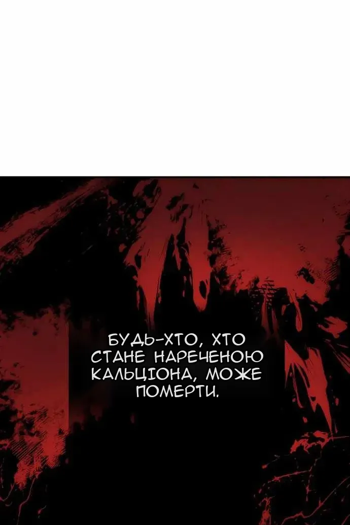 Сторінка 17