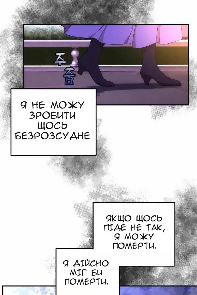 Сторінка 17
