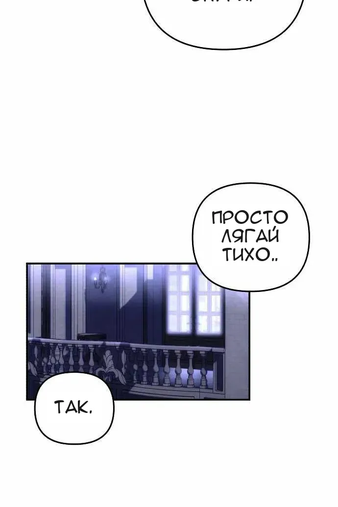 Сторінка 31