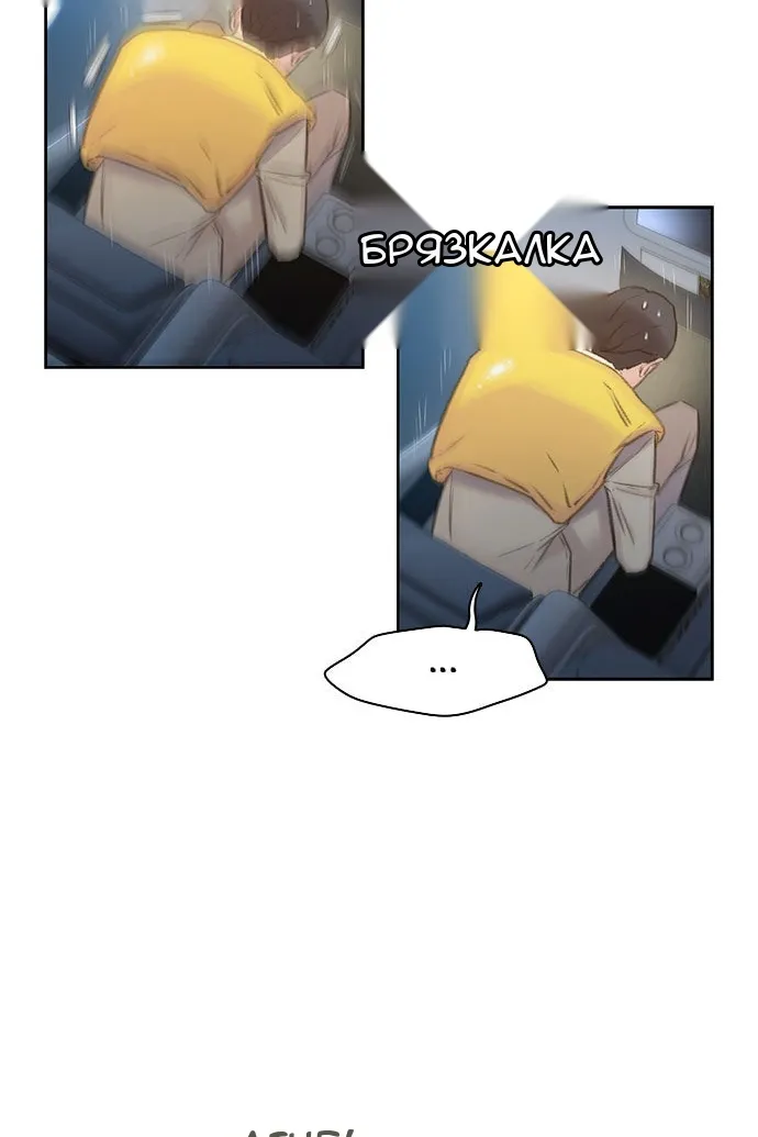 Сторінка 17