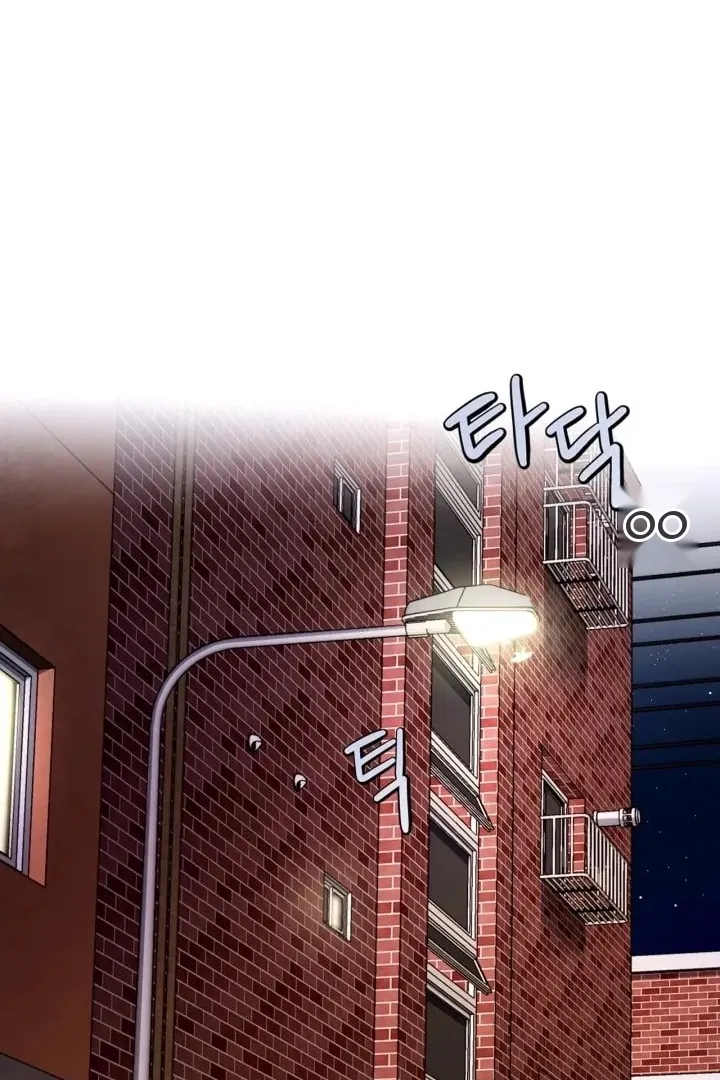 Сторінка 11