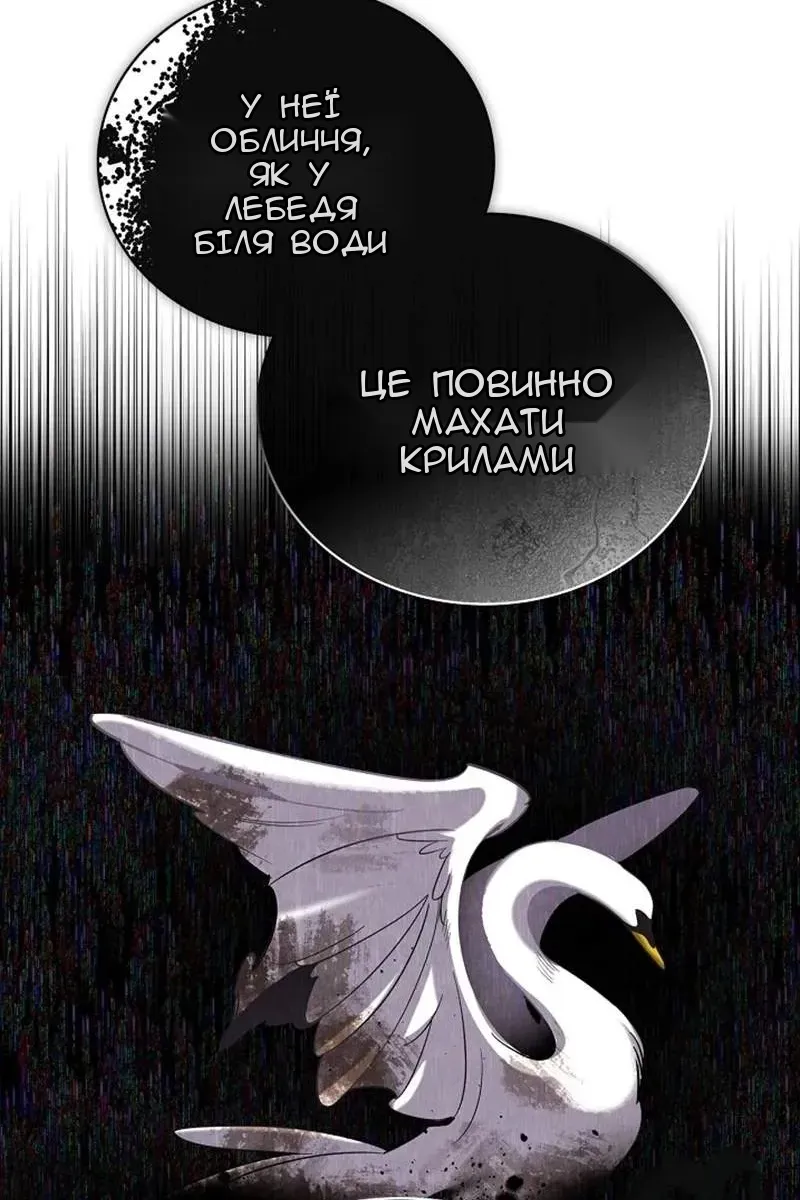 Сторінка 117