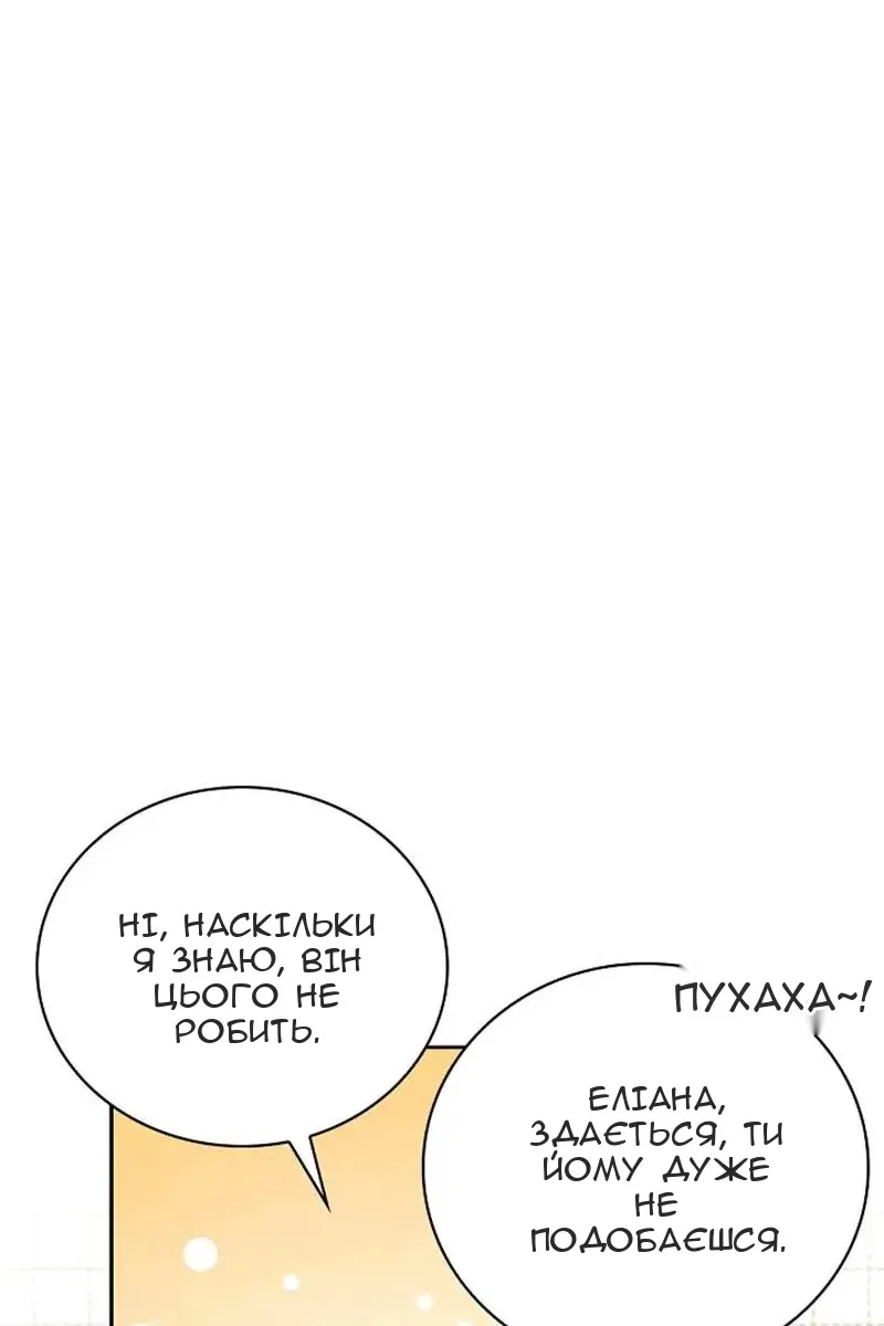 Сторінка 29