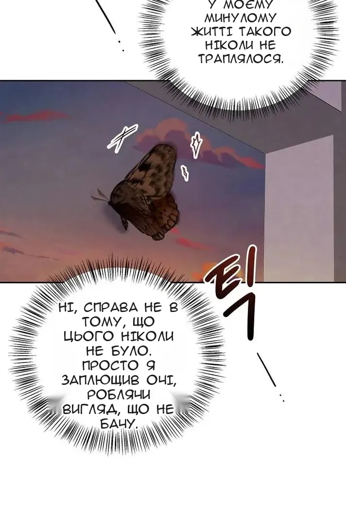 Сторінка 14