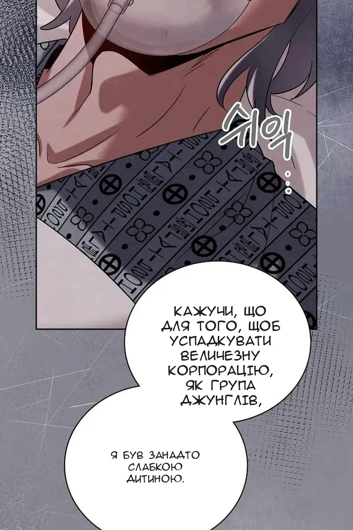 Сторінка 27