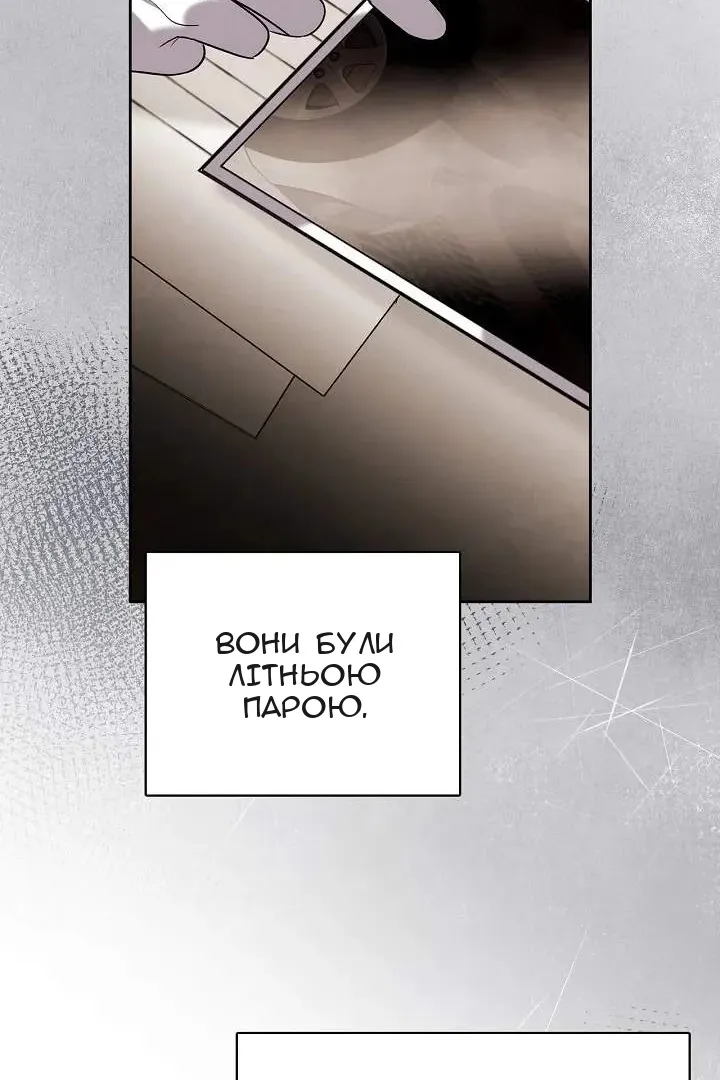 Сторінка 111