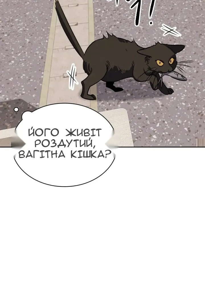 Сторінка 81