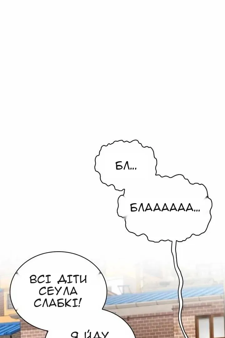 Сторінка 17