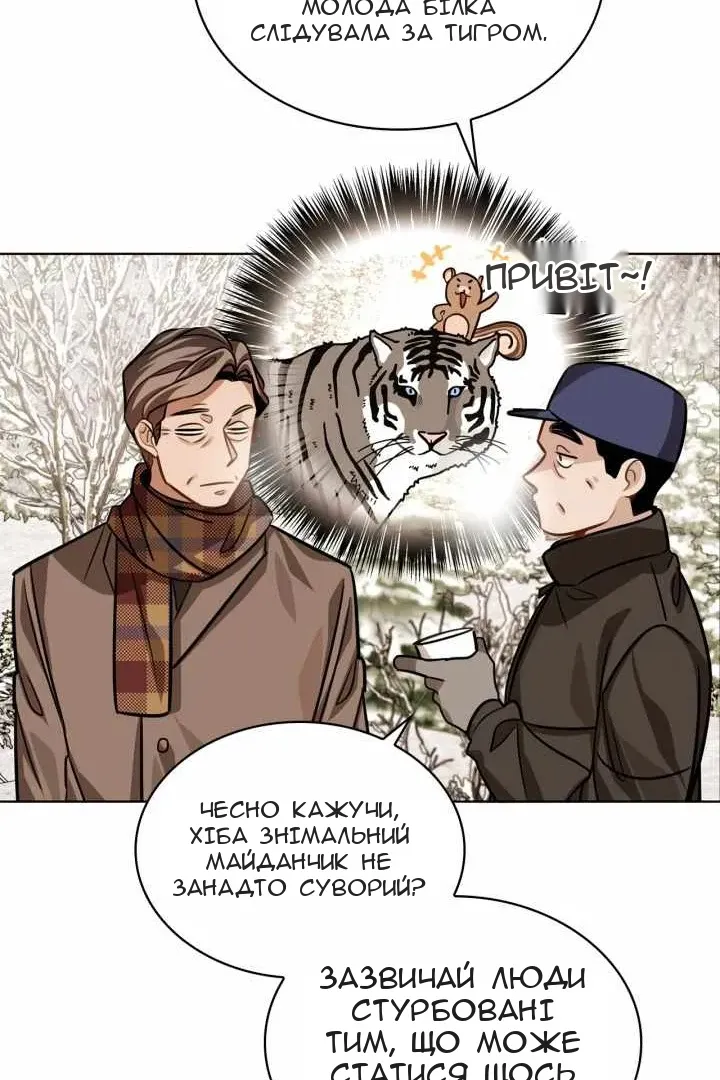 Сторінка 43