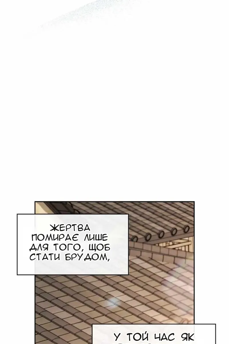Сторінка 34