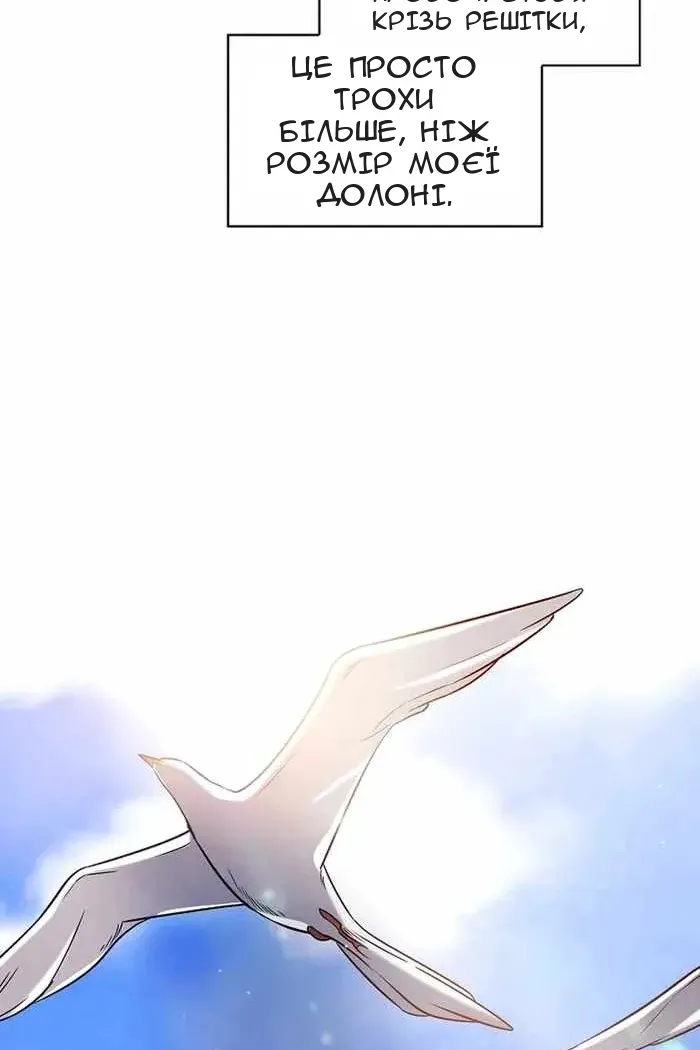 Сторінка 32