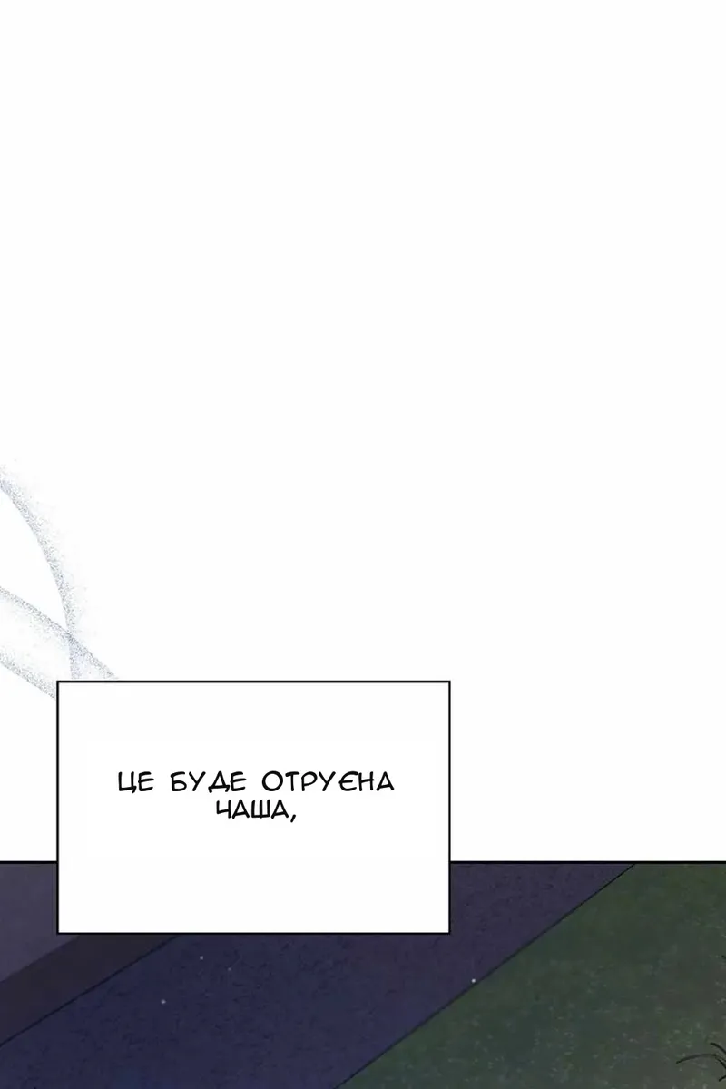 Сторінка 28