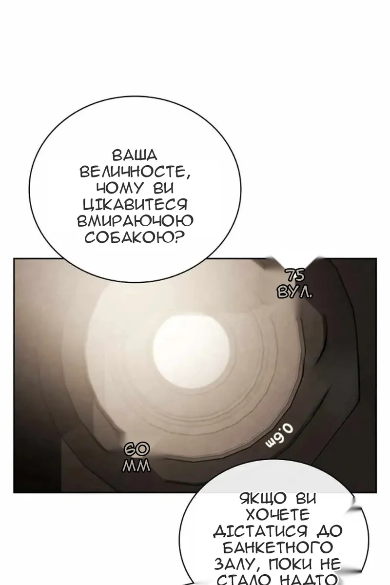 Сторінка 121