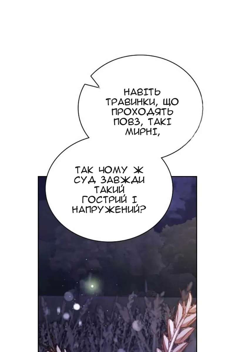 Сторінка 31