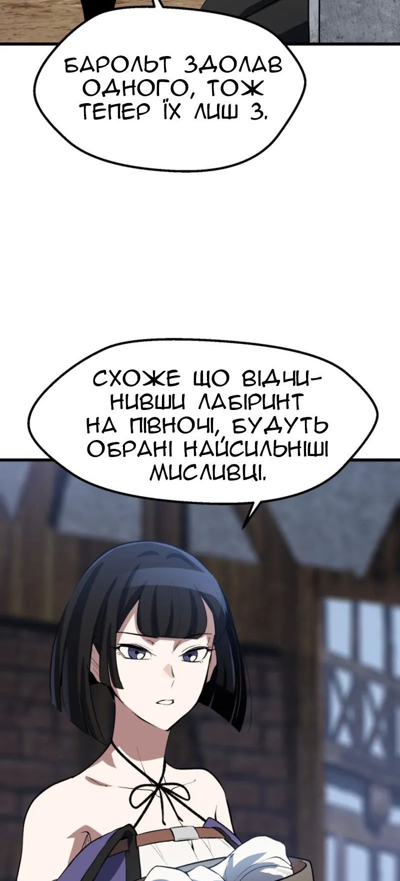 Сторінка 29