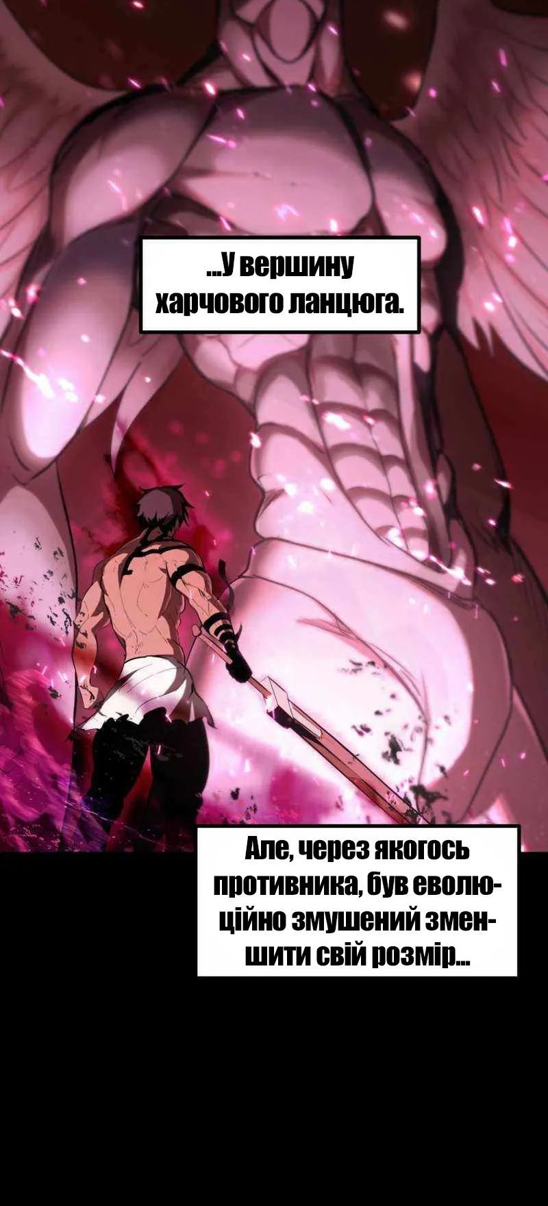 Сторінка 11