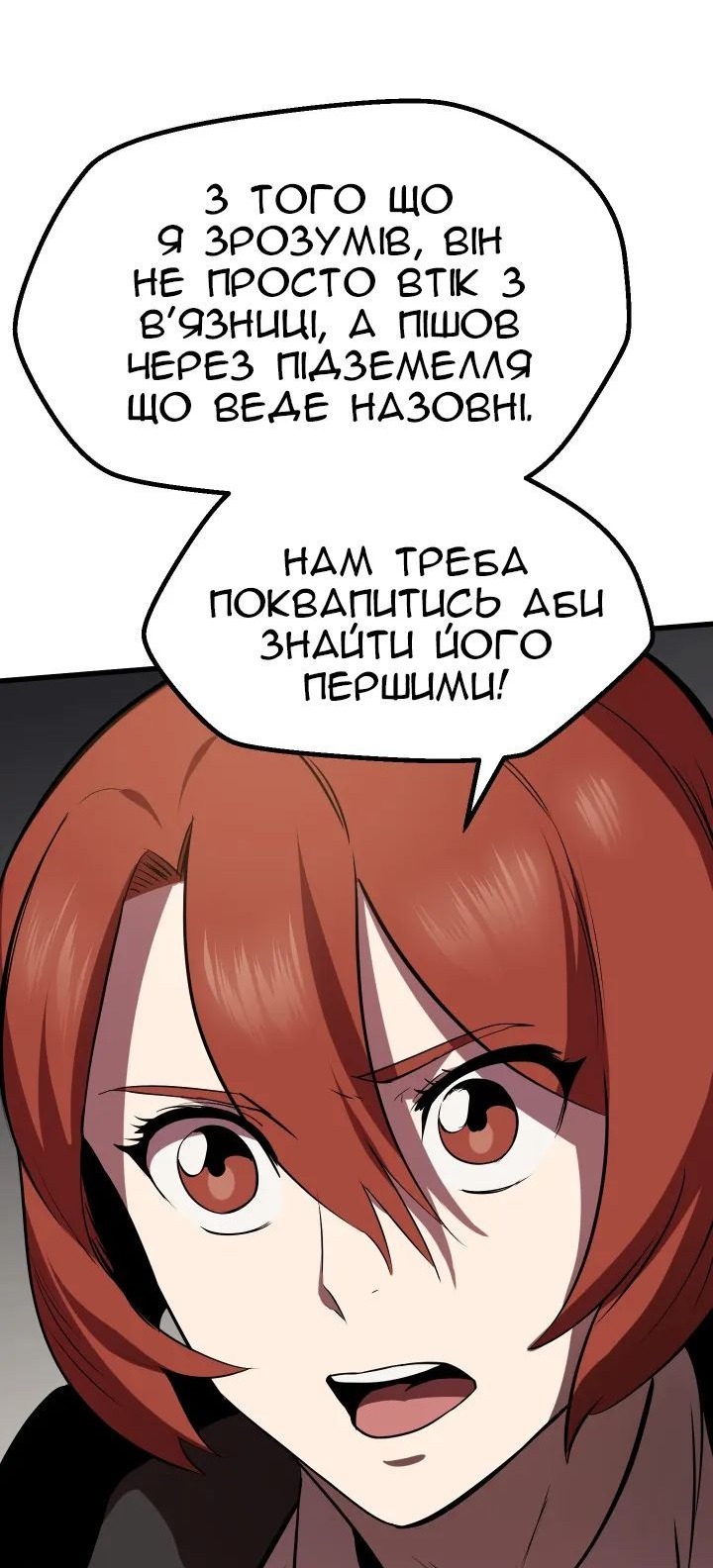 Сторінка 101