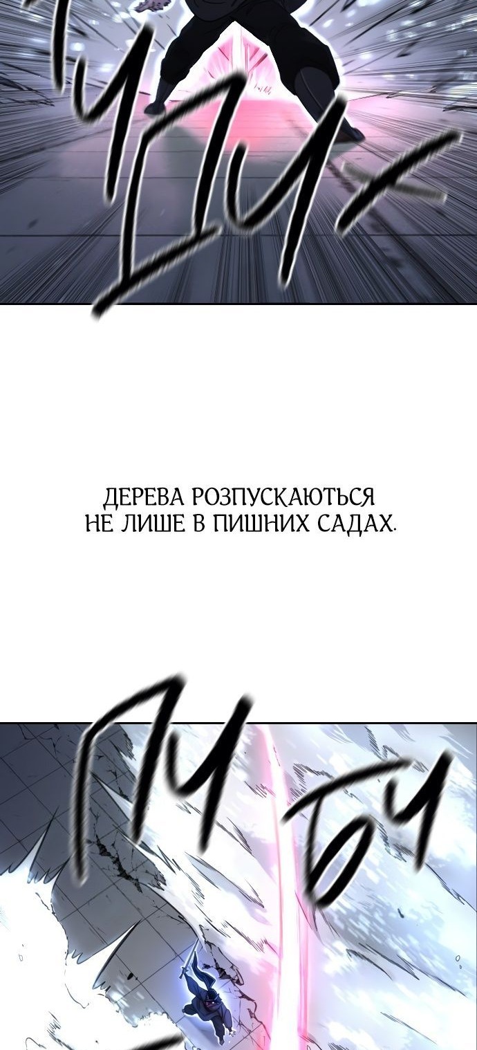 Сторінка 31