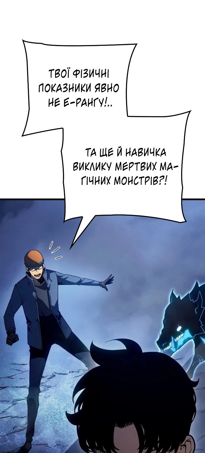Сторінка 77