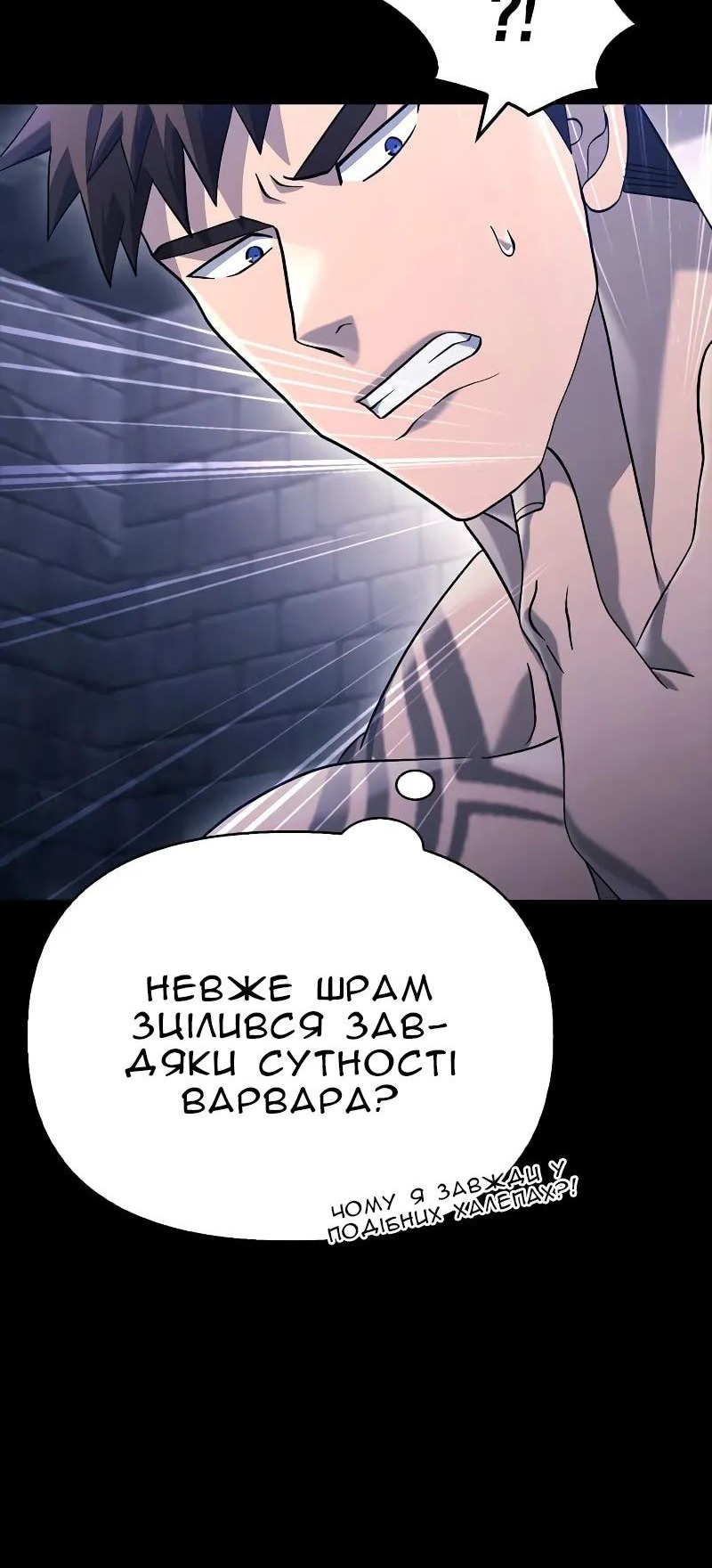 Сторінка 17