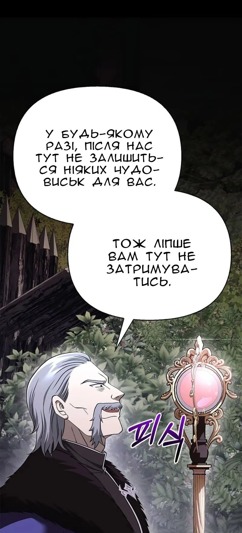 Сторінка 111