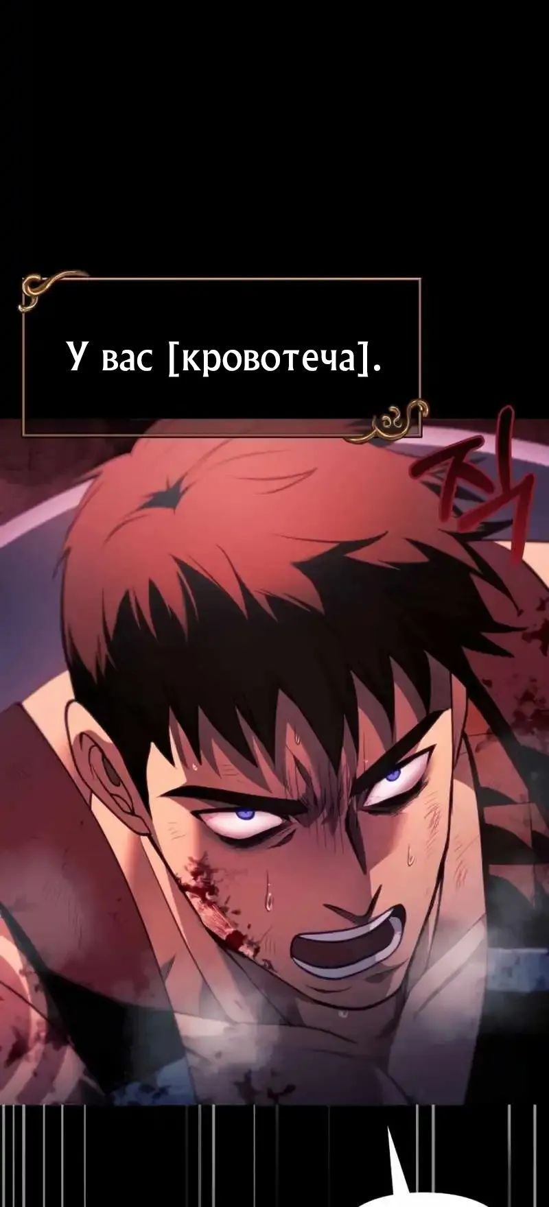 Сторінка 5