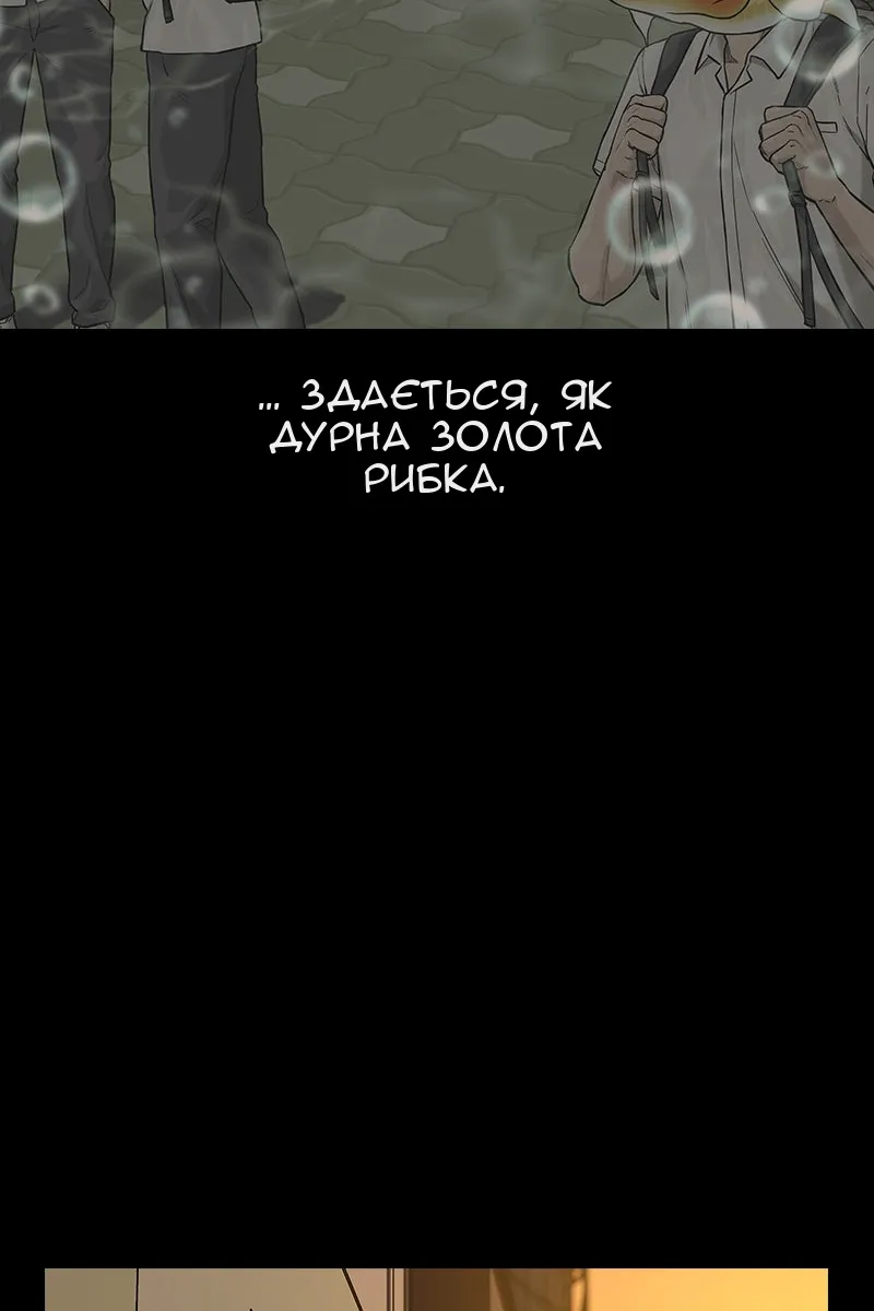 Сторінка 51