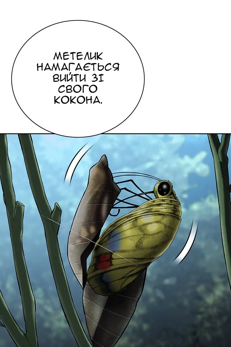 Сторінка 83