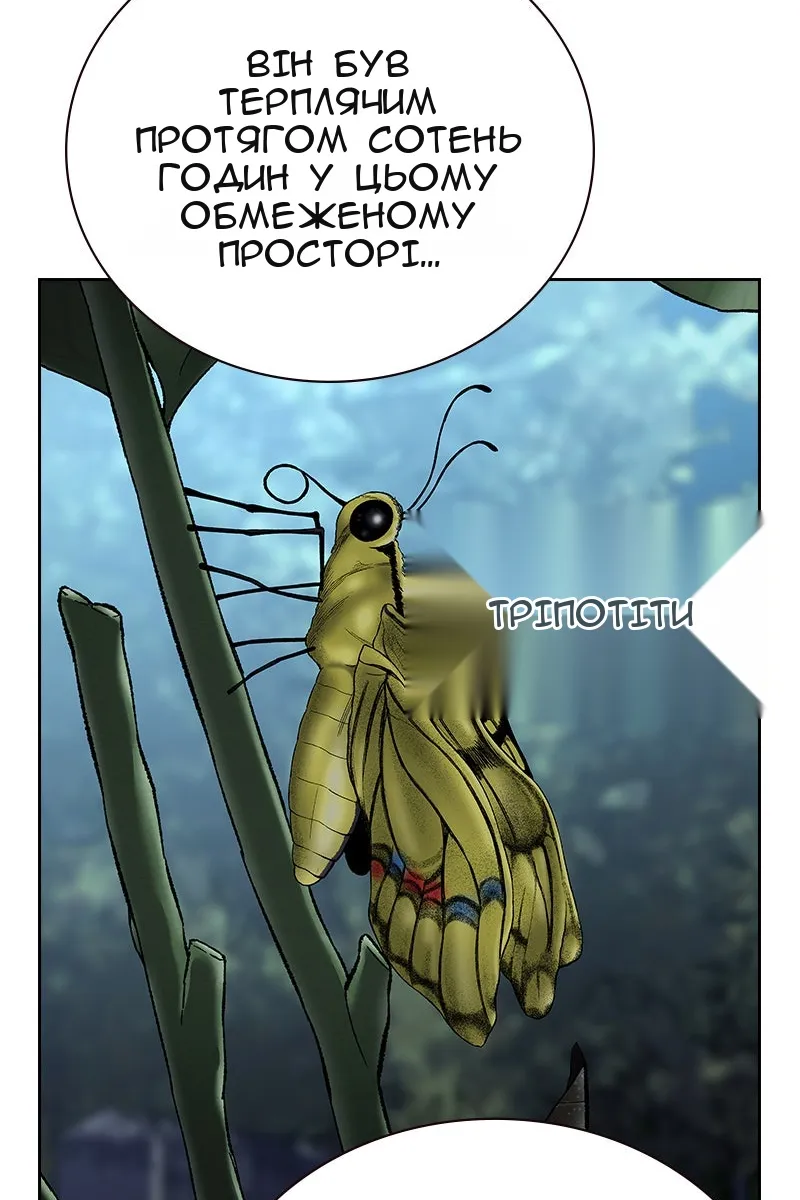 Сторінка 85