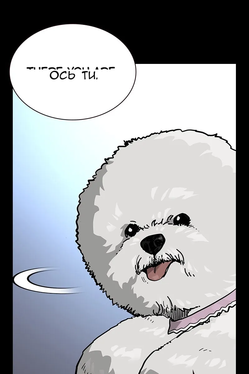 Сторінка 114