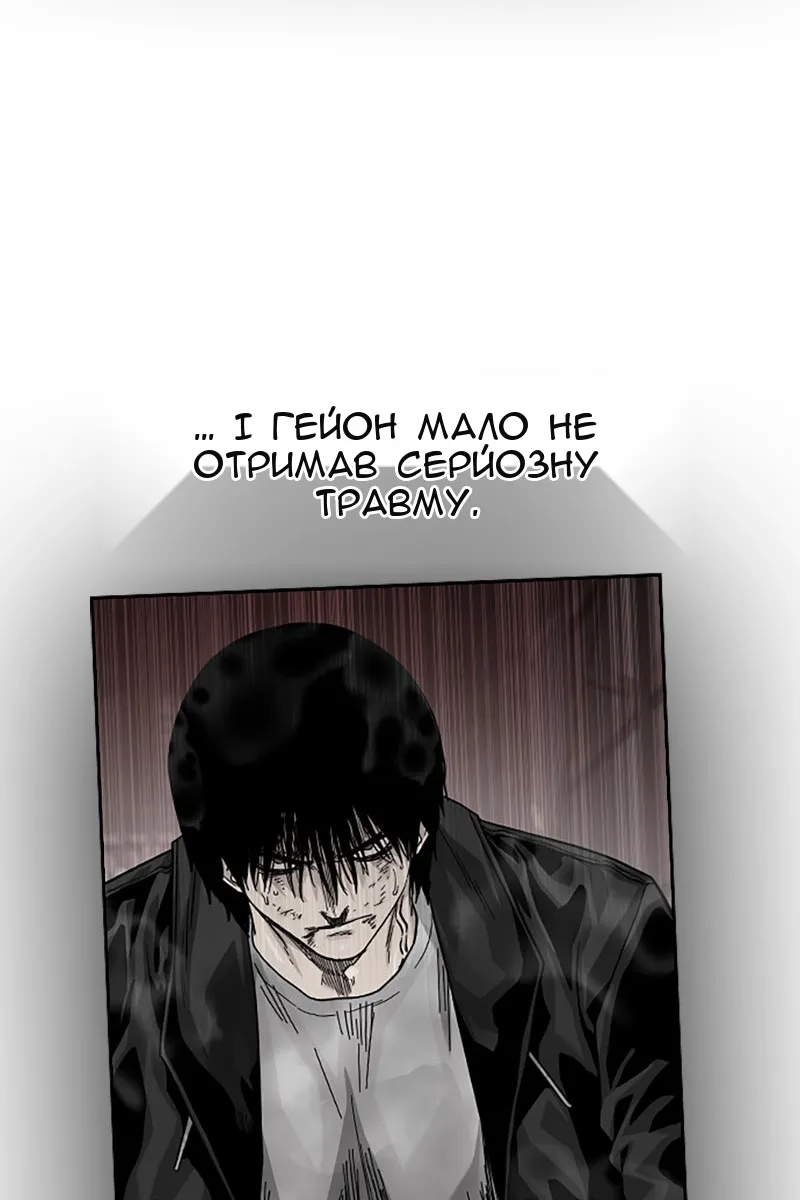 Сторінка 29