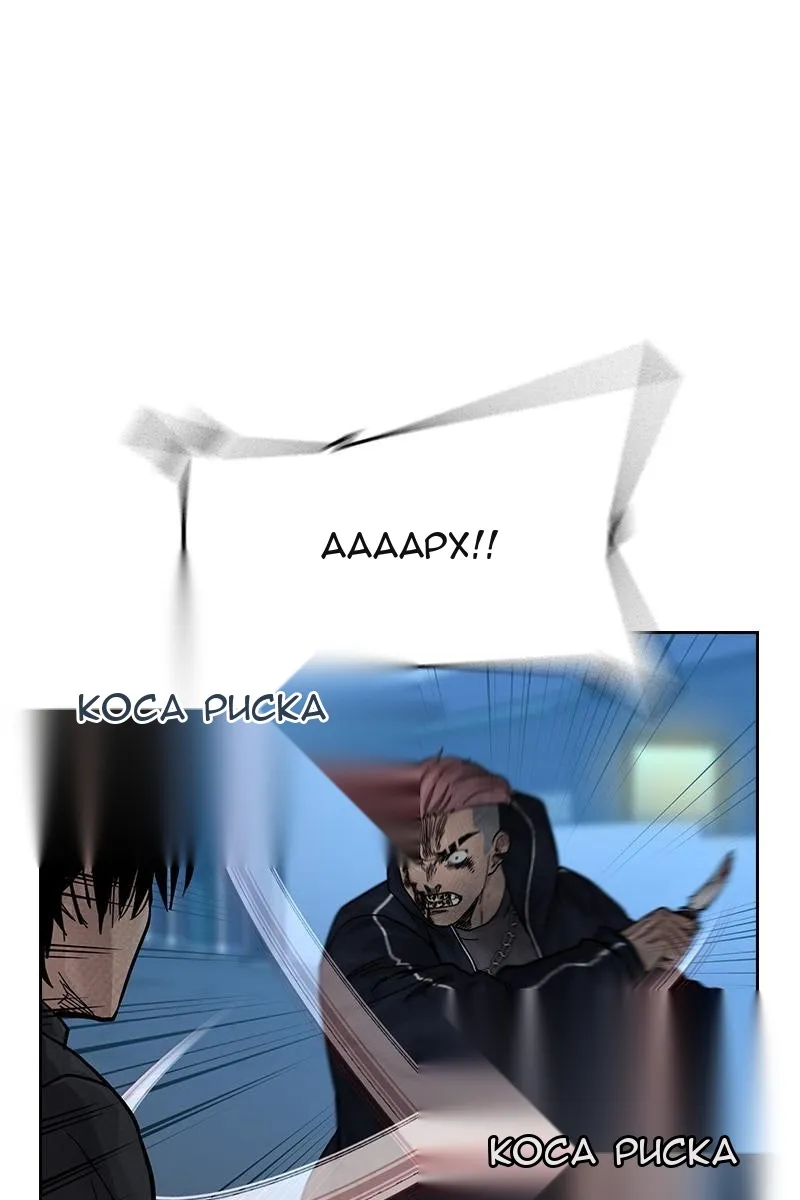 Сторінка 13