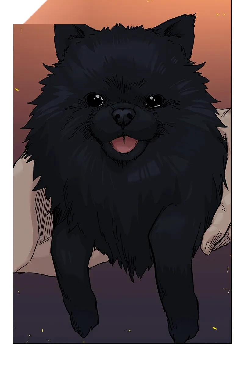 Сторінка 18
