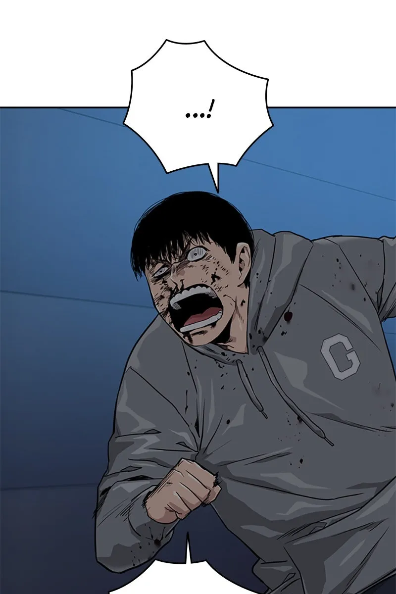 Сторінка 17