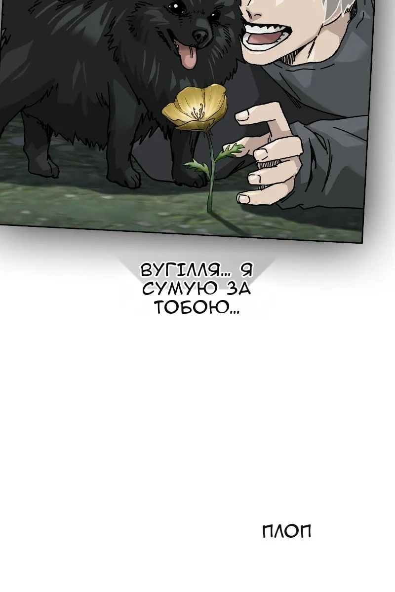 Сторінка 171
