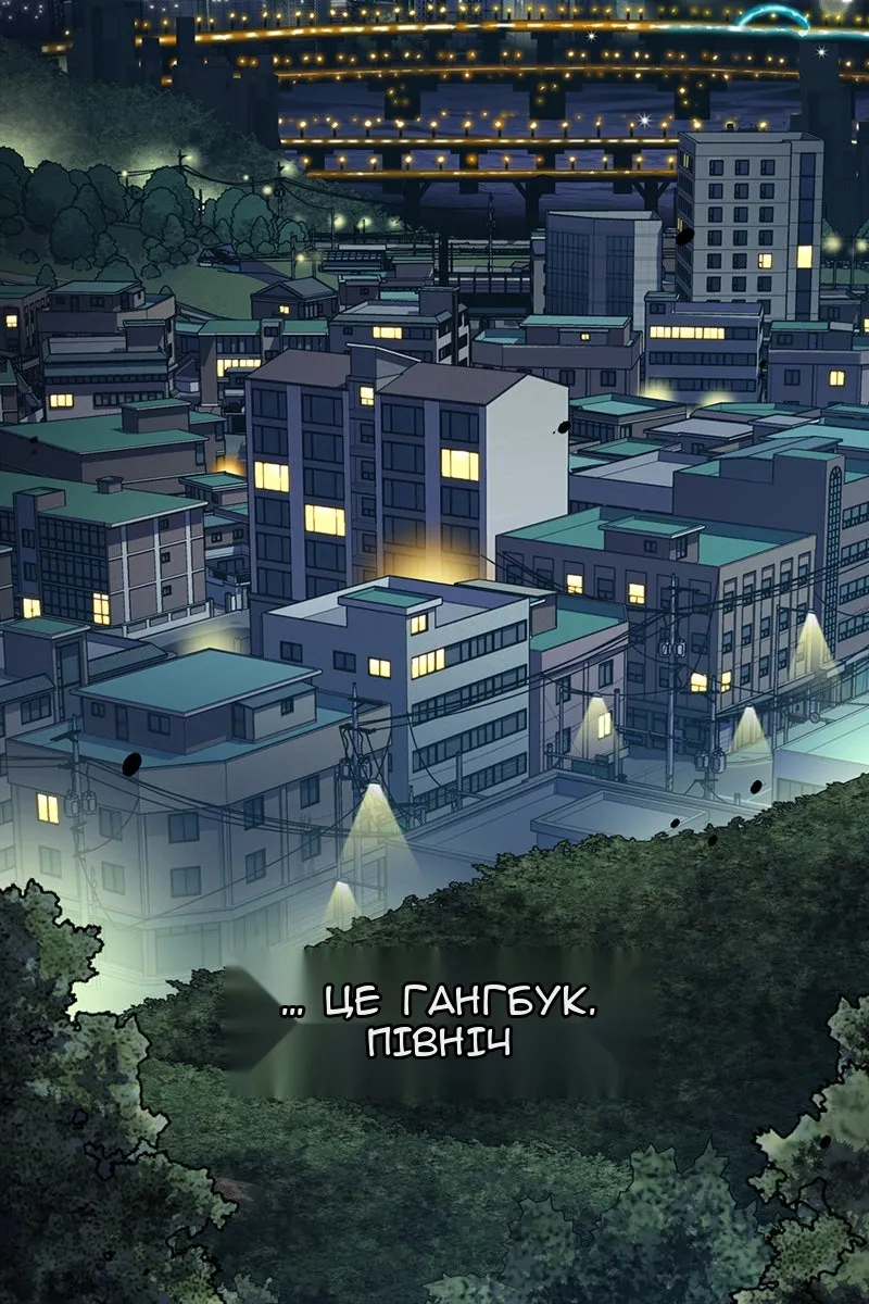 Сторінка 173