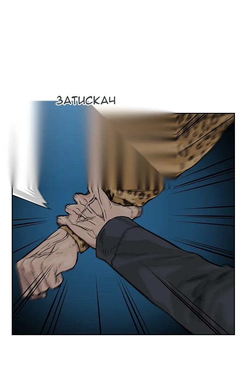Сторінка 17