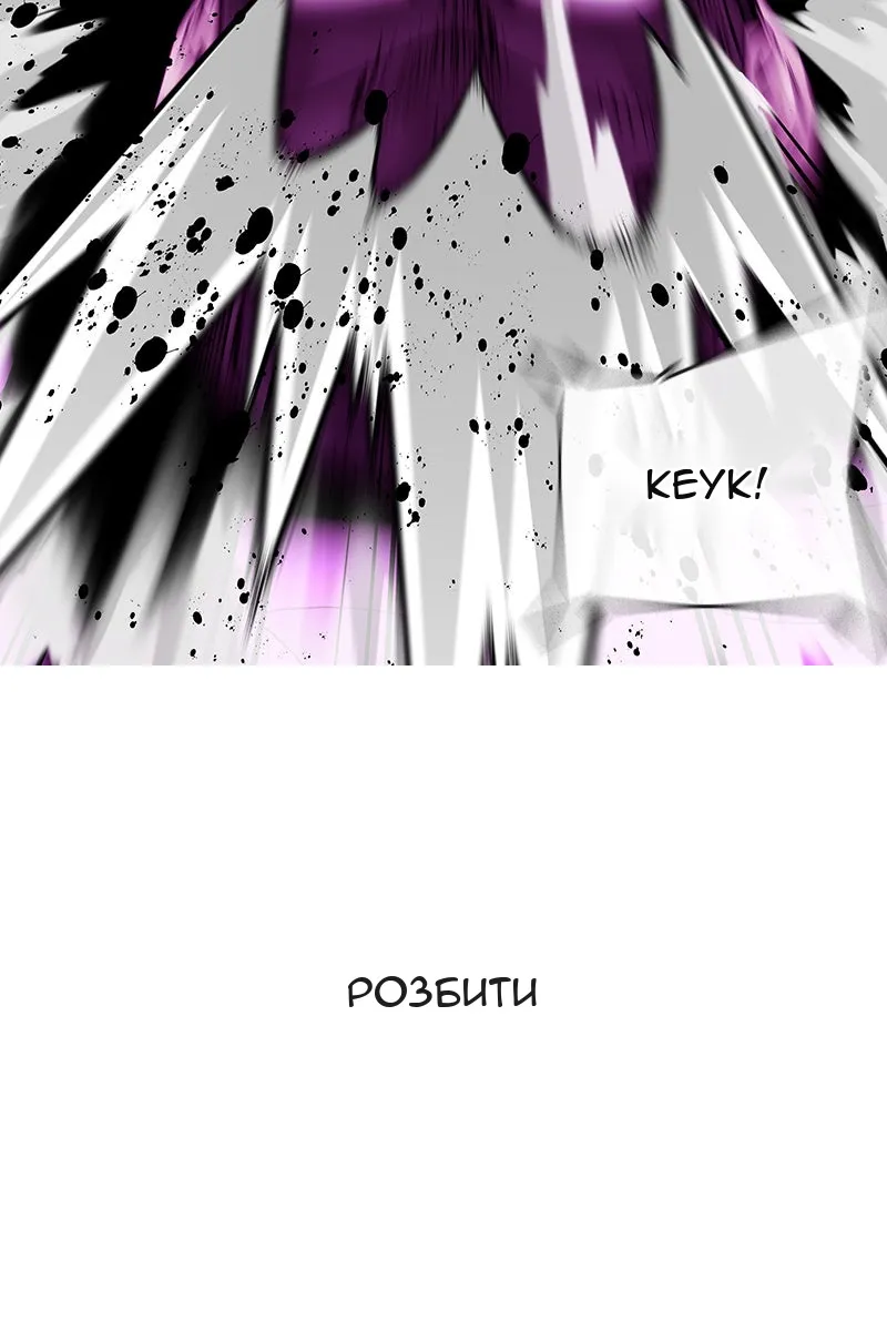 Сторінка 8