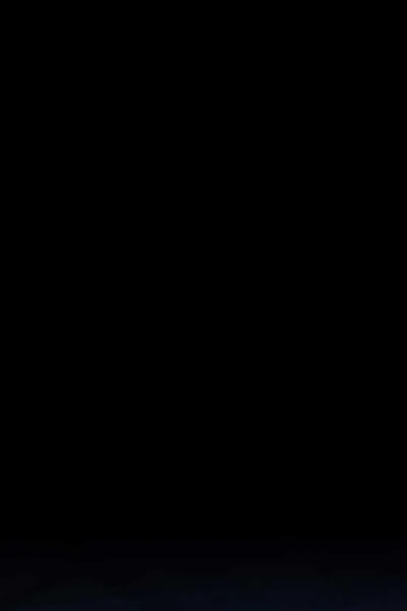 Сторінка 51