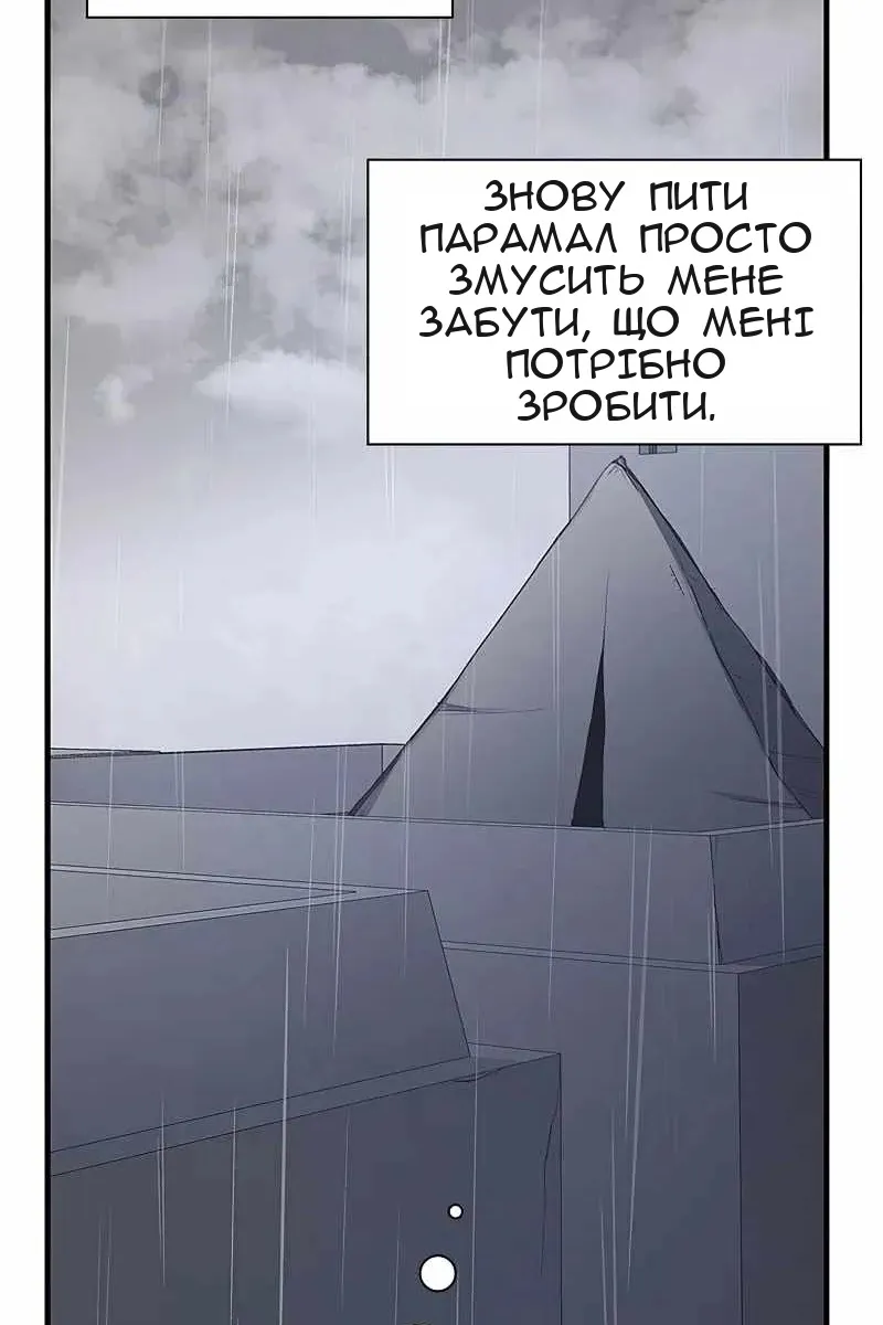 Сторінка 29