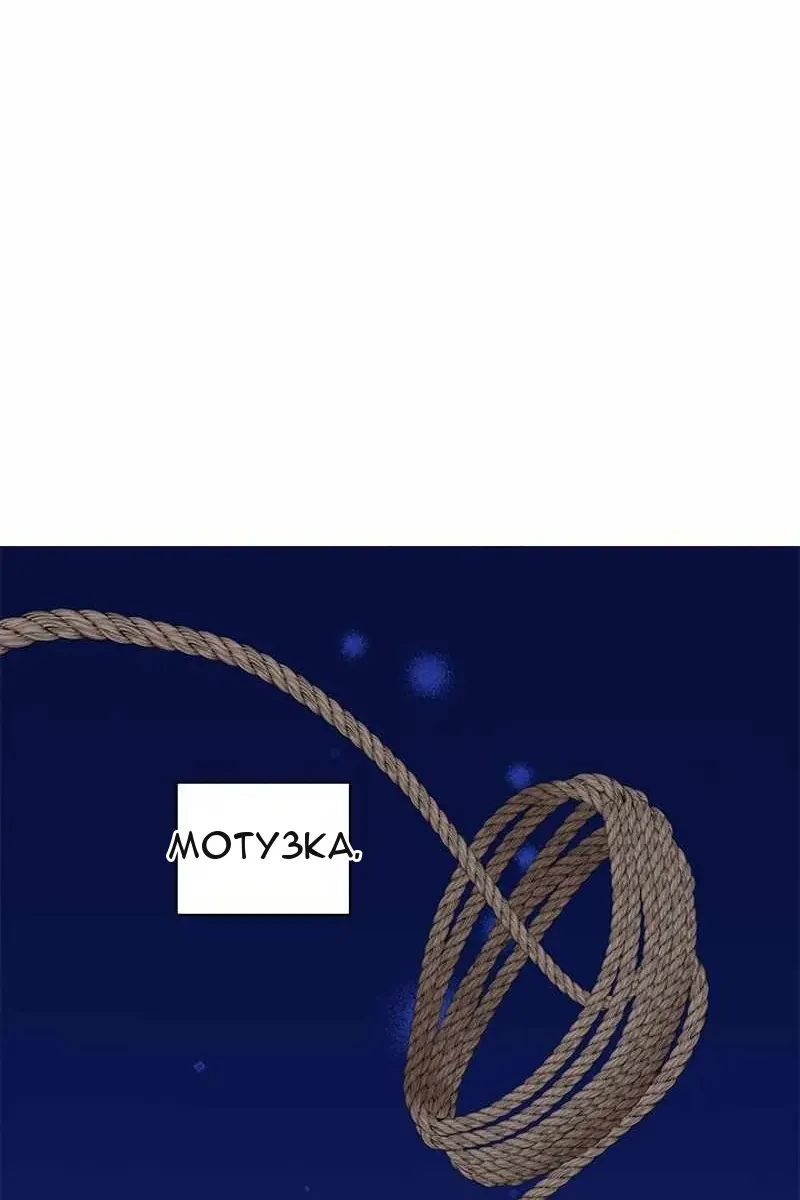Сторінка 75