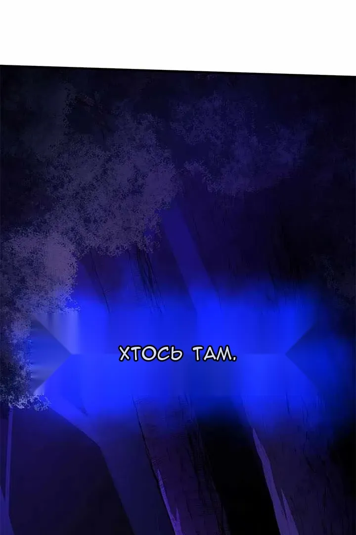 Сторінка 137