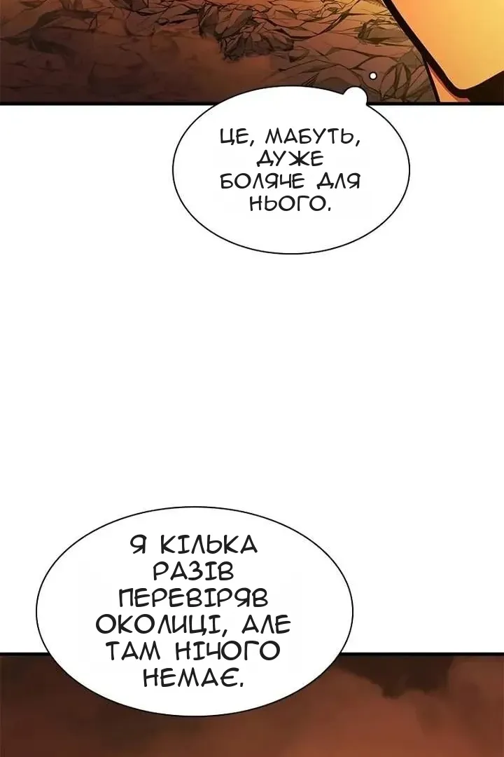 Сторінка 31