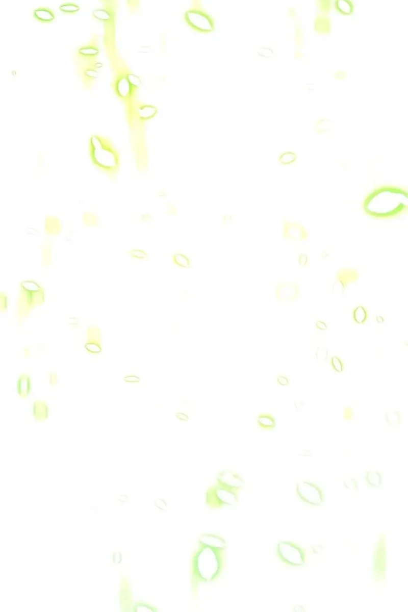 Сторінка 12