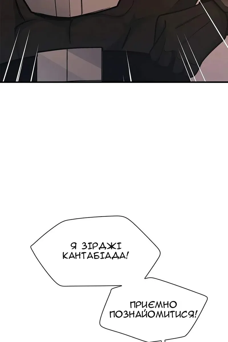 Сторінка 111