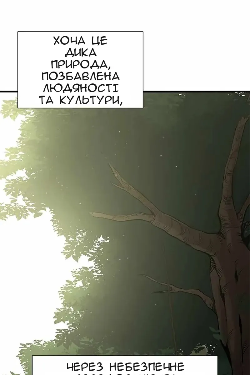 Сторінка 31