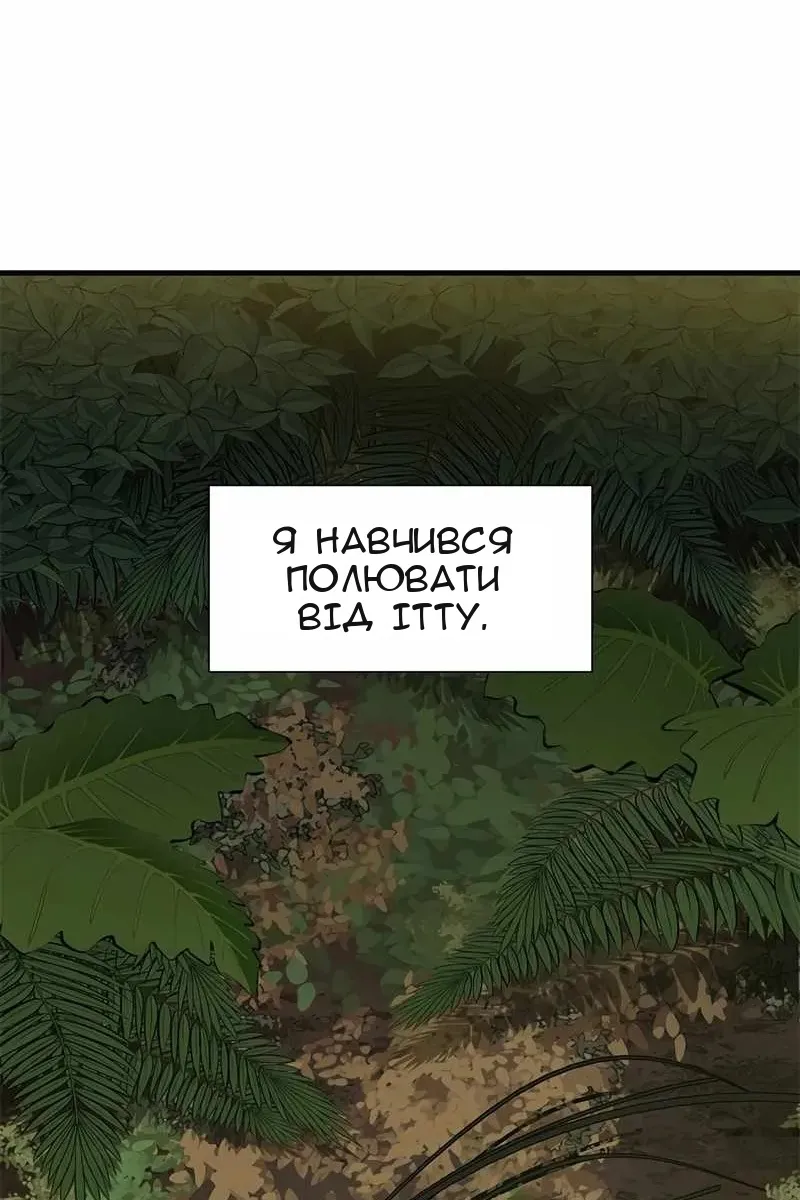 Сторінка 5