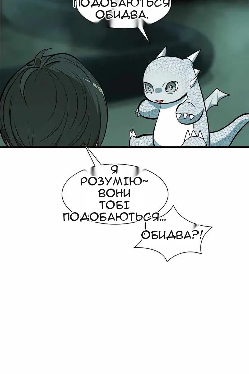 Сторінка 29