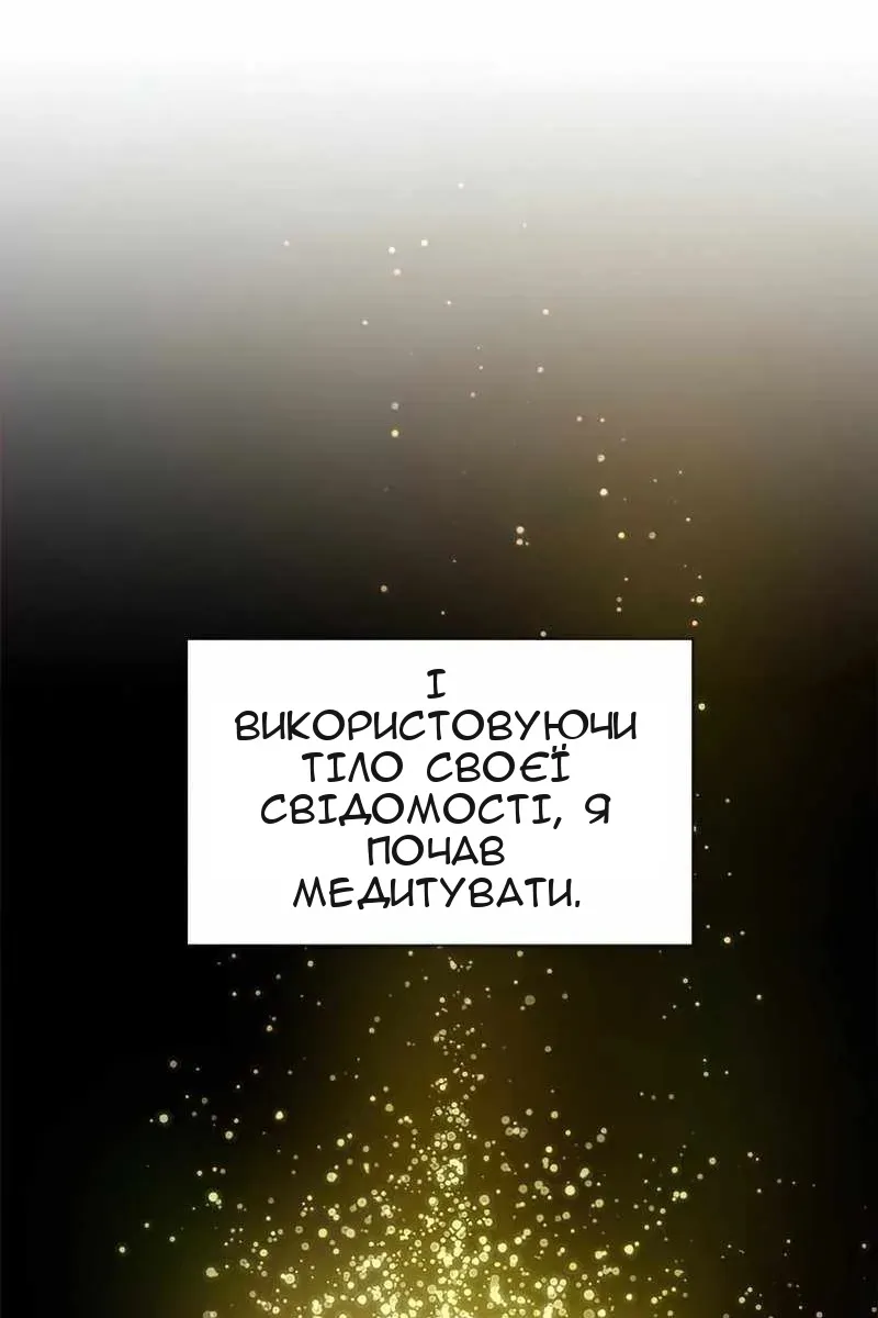 Сторінка 29