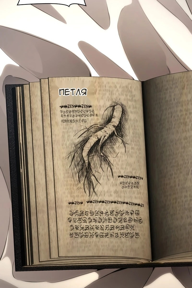 Сторінка 16